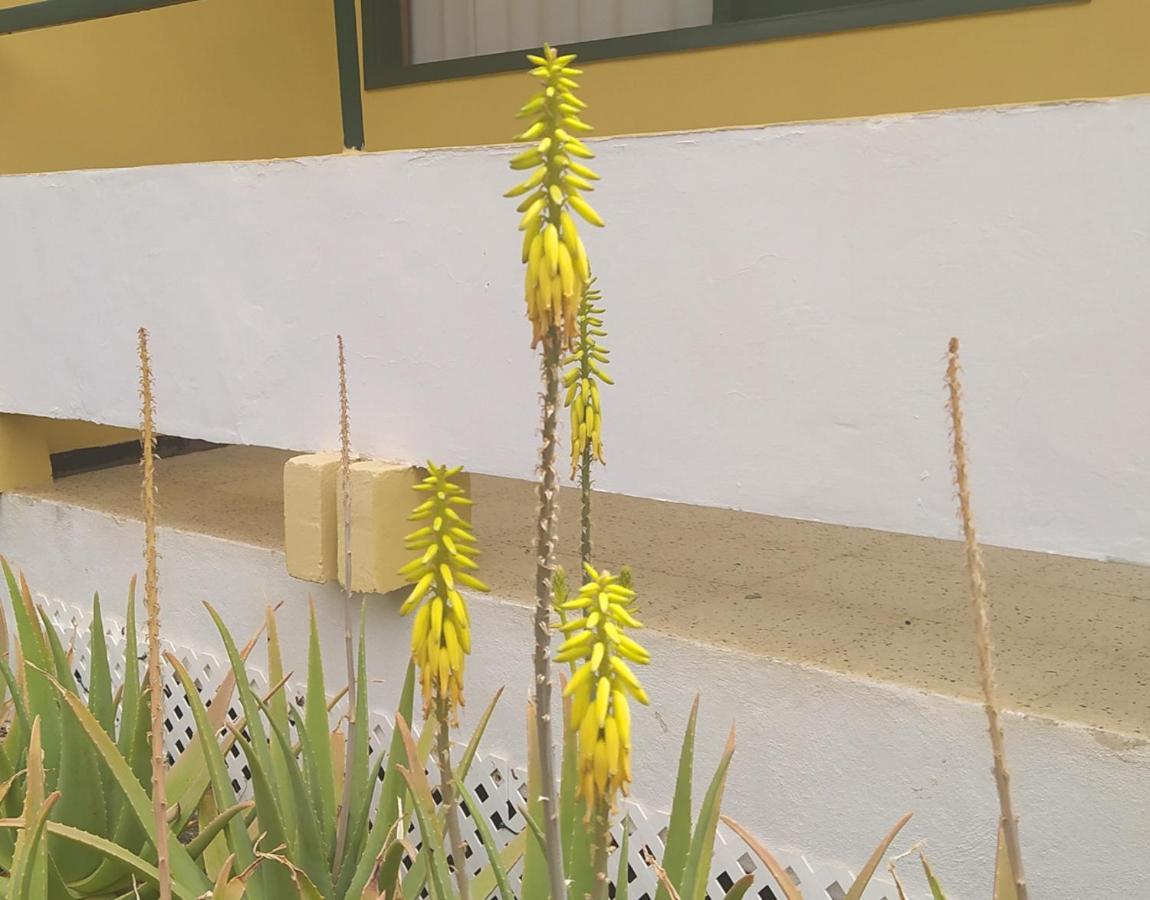 Apartamento Caroni Playa del Inglés Exterior foto